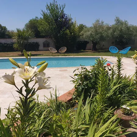 Privee Dans Maison Avec Piscine Pansiyon Tournefeuille