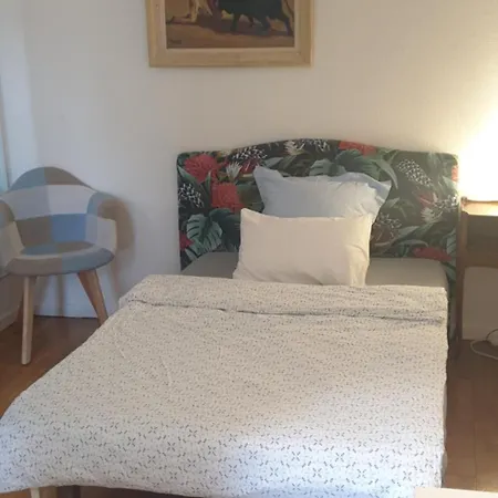 Alloggio in famiglia Privée Dans Maison Avec Piscine Tournefeuille